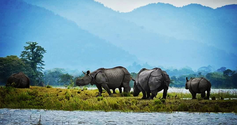 Kaziranga National Park, Arunachal Pradesh