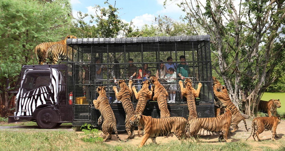 Safari World, Thailand